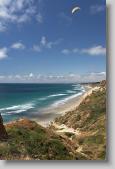 torrey pines * 480 x 720 * (110KB)